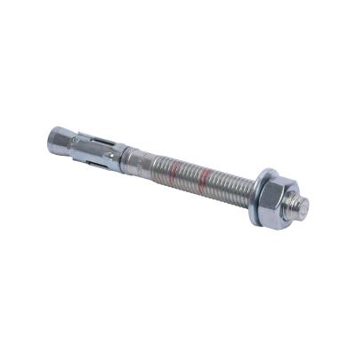 WT7 SSt Throughbolt Anchors
